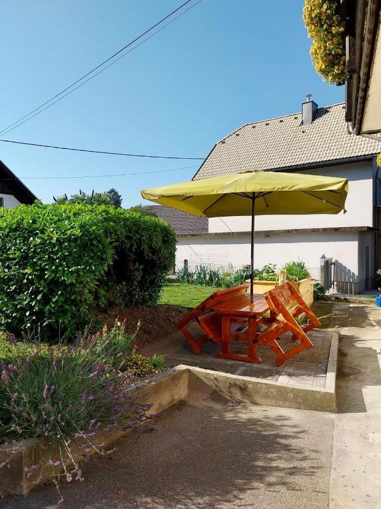 Apartma Jana Zirovnica Εξωτερικό φωτογραφία